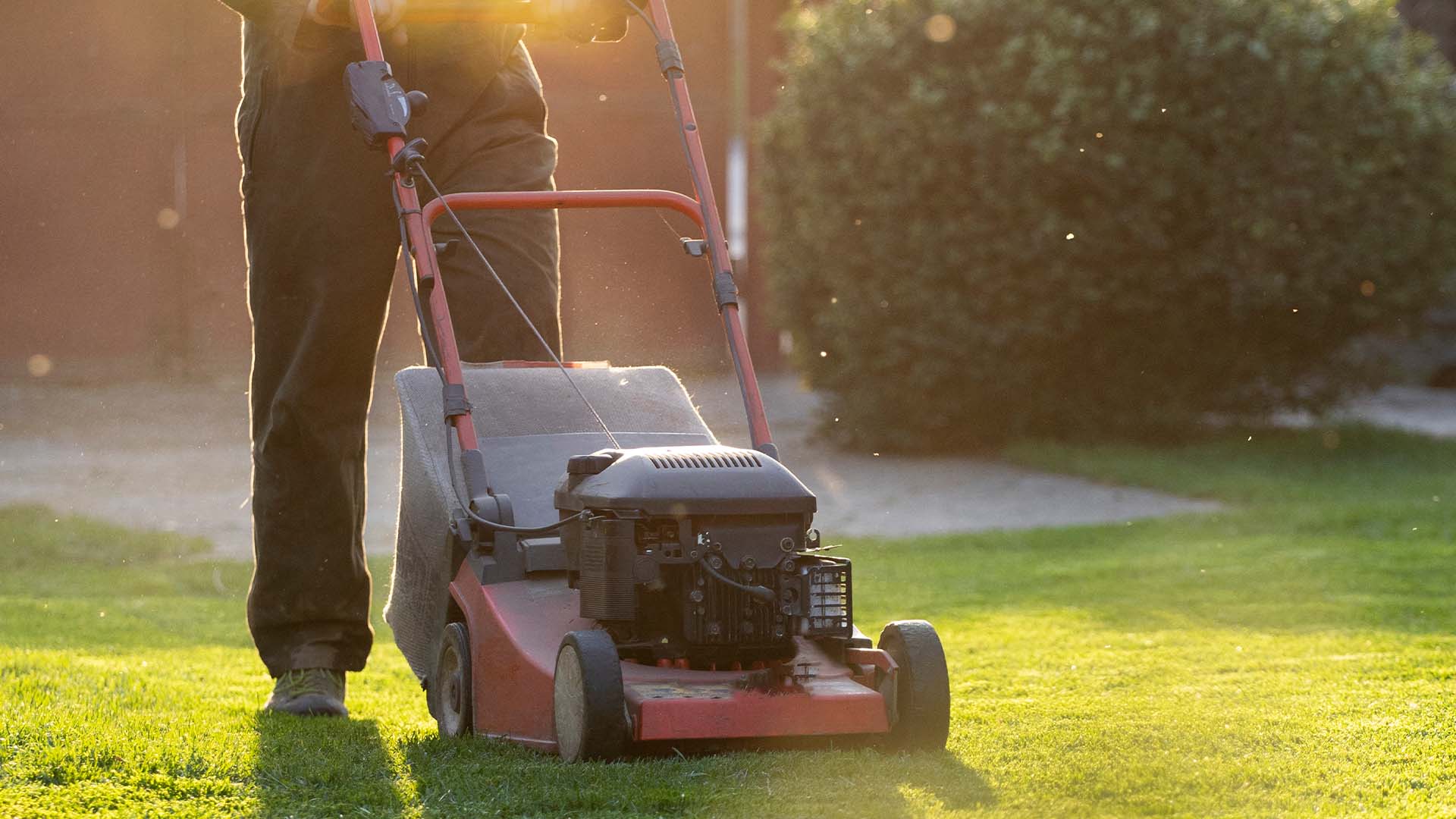 gartenarbeiten mit rasenmäher